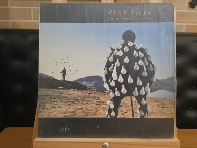 Pink Floyd — Delicate Sound of Thunder · Frente · foto 1