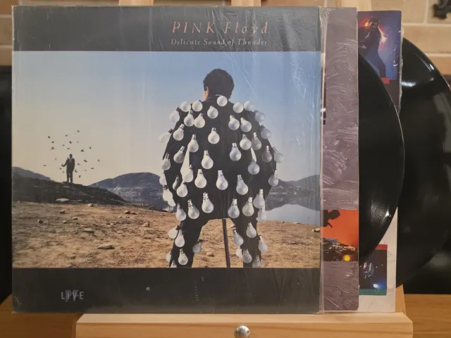 Pink Floyd — Delicate Sound of Thunder · Vinis e encartes · foto 3