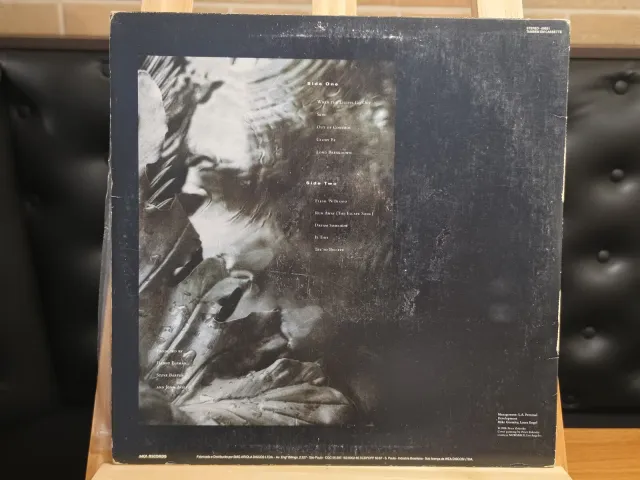 Oingo Boingo — Dark at the End of the Tunnel · Verso · foto 2