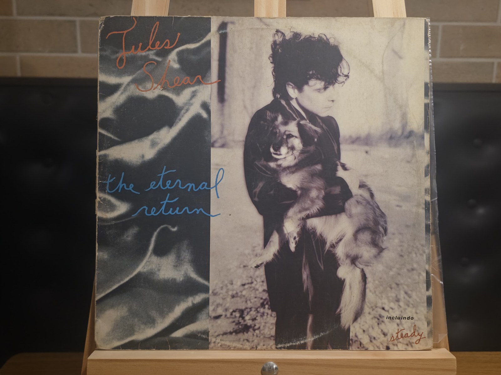 Capa de Jules Shear — The Eternal Return