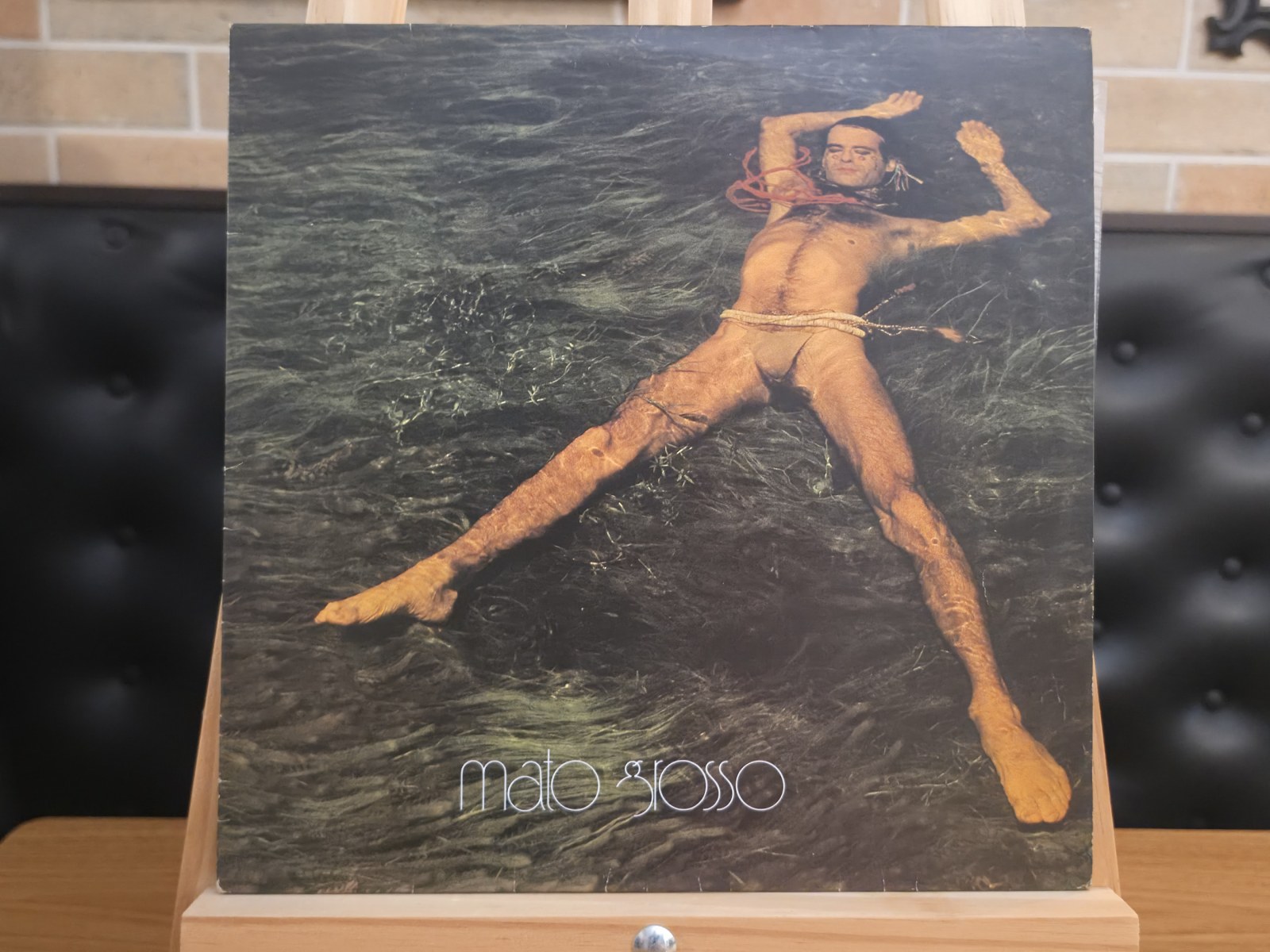 Capa de Ney Matogrosso — Mato Grosso