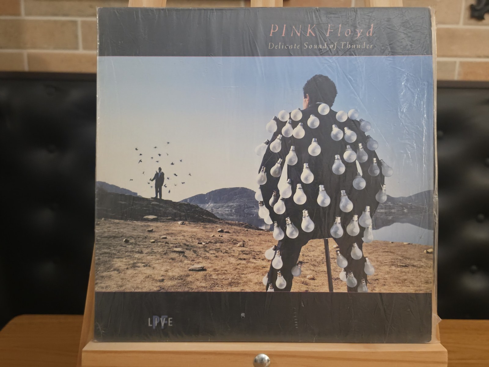 Capa de Pink Floyd — Delicate Sound of Thunder