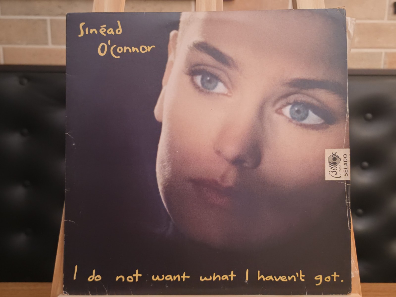 Capa de Sinéad O’Connor — I Do Not Want What I Haven’t Got