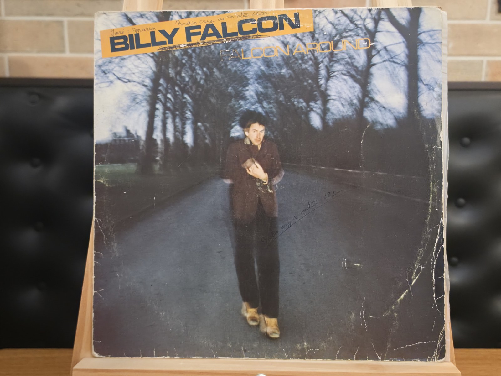 Capa de Billy Falcon — Falcon Around