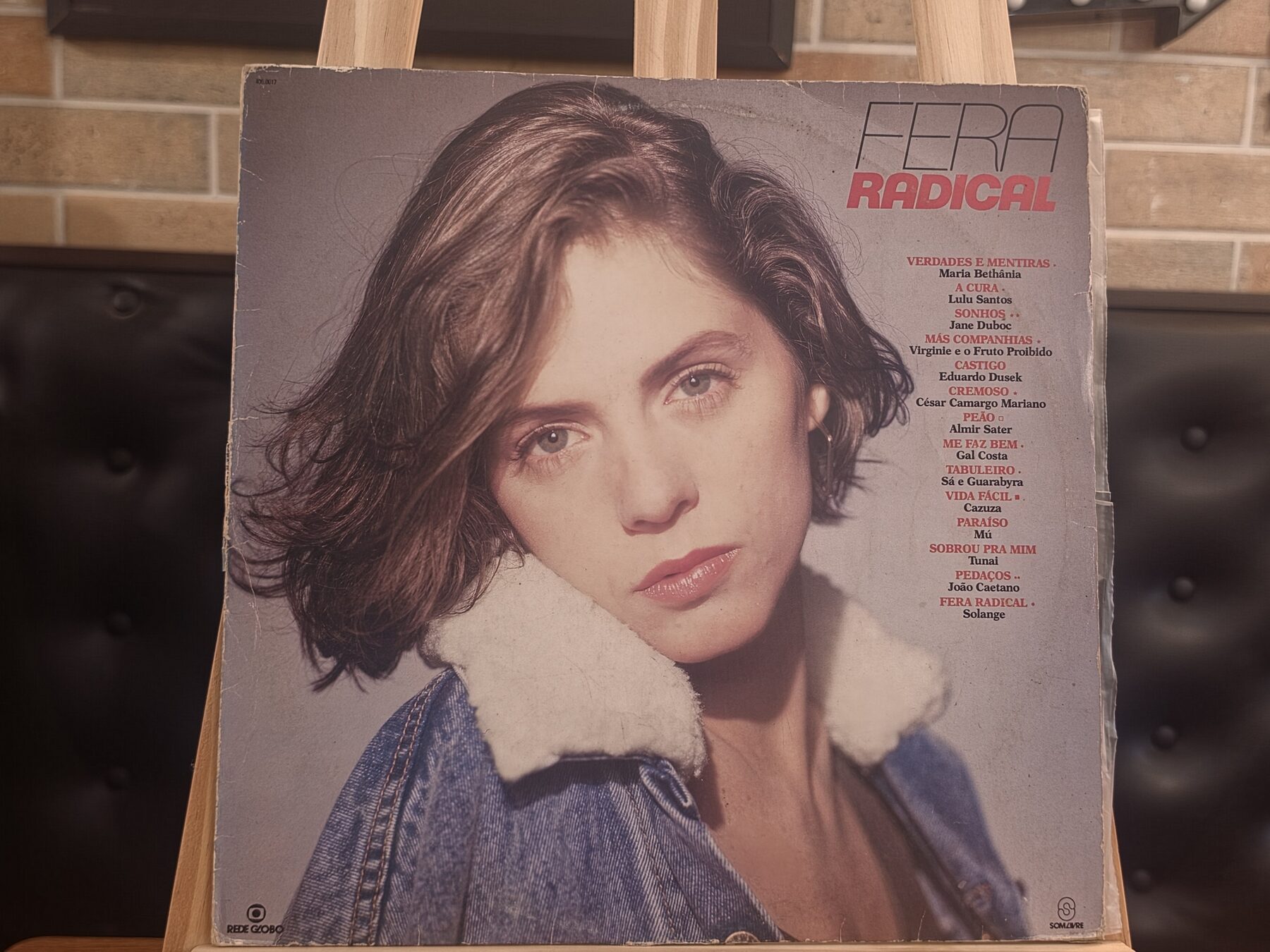 Capa de Vários — Fera Radical