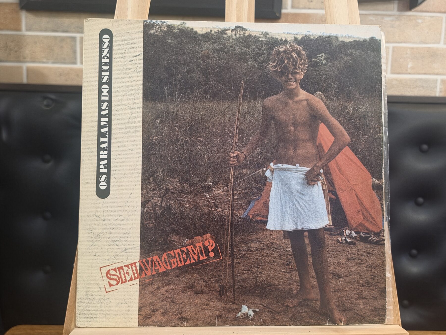 Capa de Os Paralamas do Sucesso — Selvagem?
